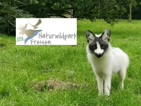 Partnerdeal Naturwildpark Freisen